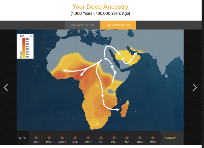 heat-map-of-paternal-ancestry