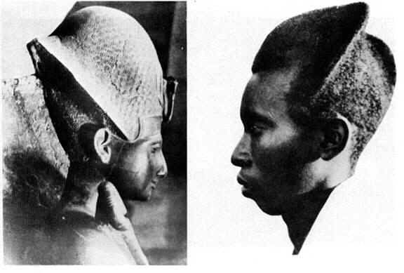 Ramses II on the left compared to Tutsi hairstyle