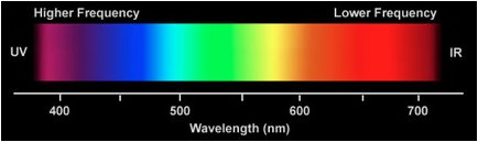 visual light spectrum