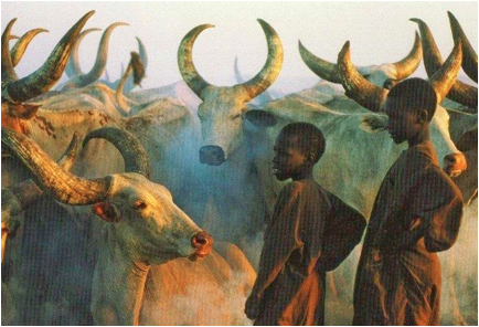 Kadugli-Nuba People of Sudan