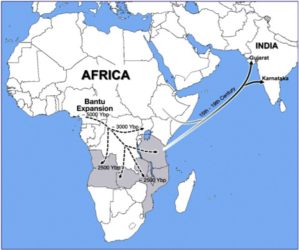 east africa to asia