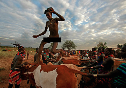 ethipian bull jumping ritual